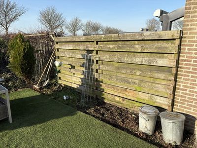Tuin