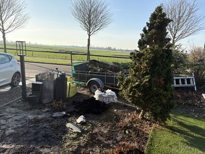 Tuin