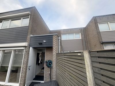 Regenpijpen