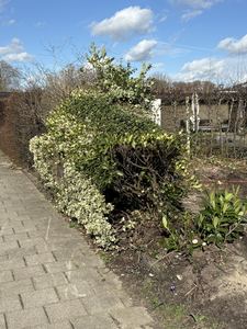 Tuin idee