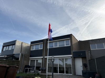 Vlag