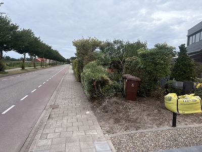Tuin